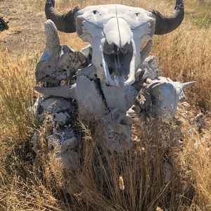 Meet your Posher, Marla